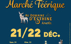 Les 21 et 22/12/2024, marché féérique au domaine d'Esthine