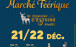 Les 21 et 22/12/2024, marché féérique au domaine d'Esthine